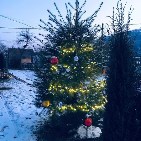 Szálloda Poenita Segesvár