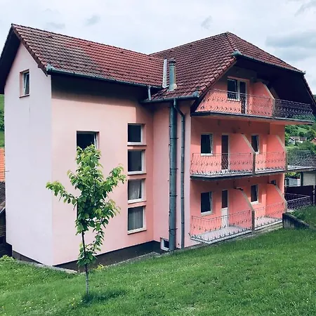 Szálloda Poenita Segesvár